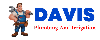 Trusted plumber in BONITA